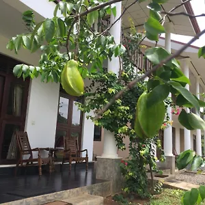 Goddess Garden Sigirija