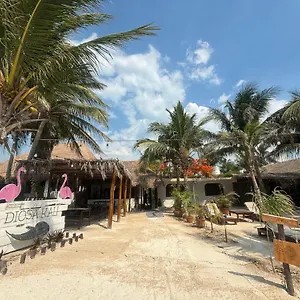 La Diosa Kali Front Hotel Isla Holbox