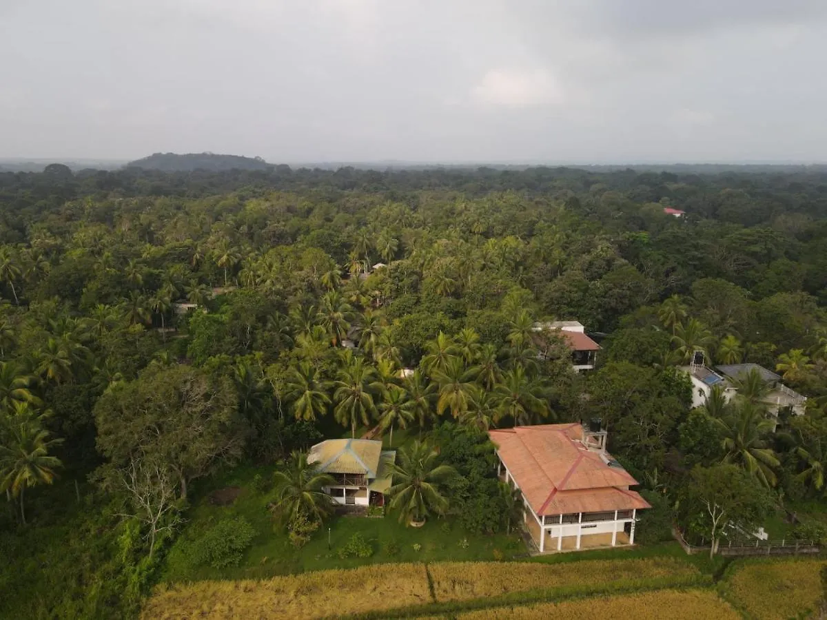 Sigiriya Paradise Inn Guest house